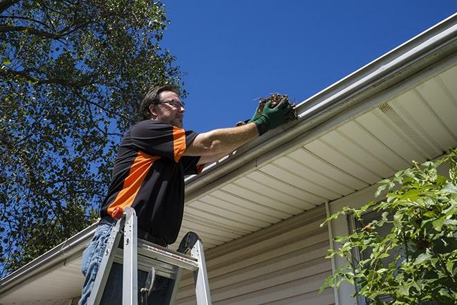 gutter repairman inspecting a damaged downspout in Acton, MA